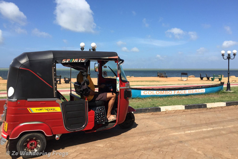 2 dagars rundtur Pinnawala/Sigiriya från Kandy2 dagars rundtur med tuk tuk