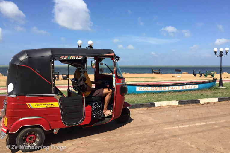 2 Day Tour Pinnawala/Sigiriya From Kandy 2 Day Tour Ac Mini Van