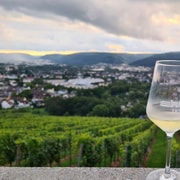 Trier: Wine and Food Tour – Round trip with wine tasting on a double-decker bus