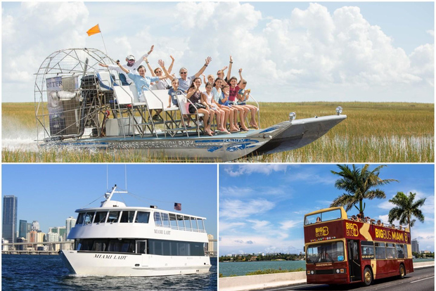 Paquete de Miami: Everglades, paseo en barco y tour en autobús descapotable