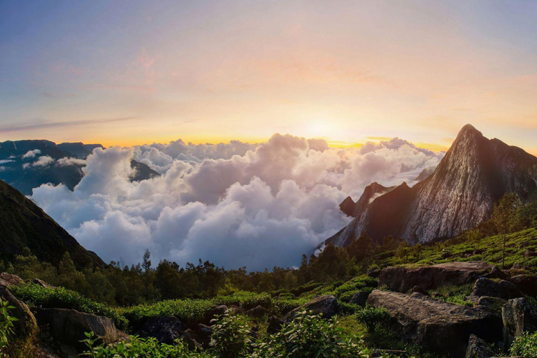 From Kochi:- 02- Days Munnar Hill Station Guided Tour