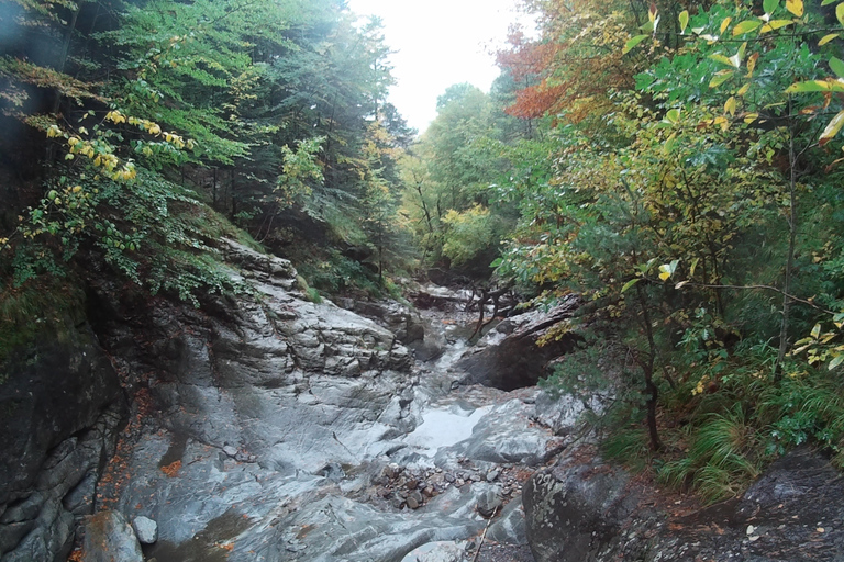 Canyoning à Valence. Une expérience pour tous