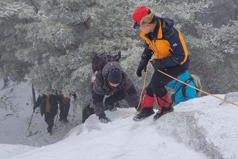 Seoul: Bukhansan Mountain Guided Hike