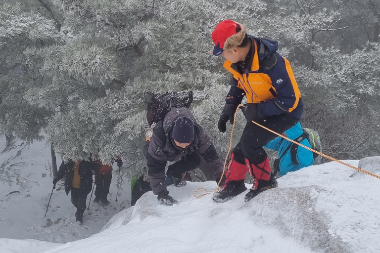 Seoul: Bukhansan Mountain Guided Hike