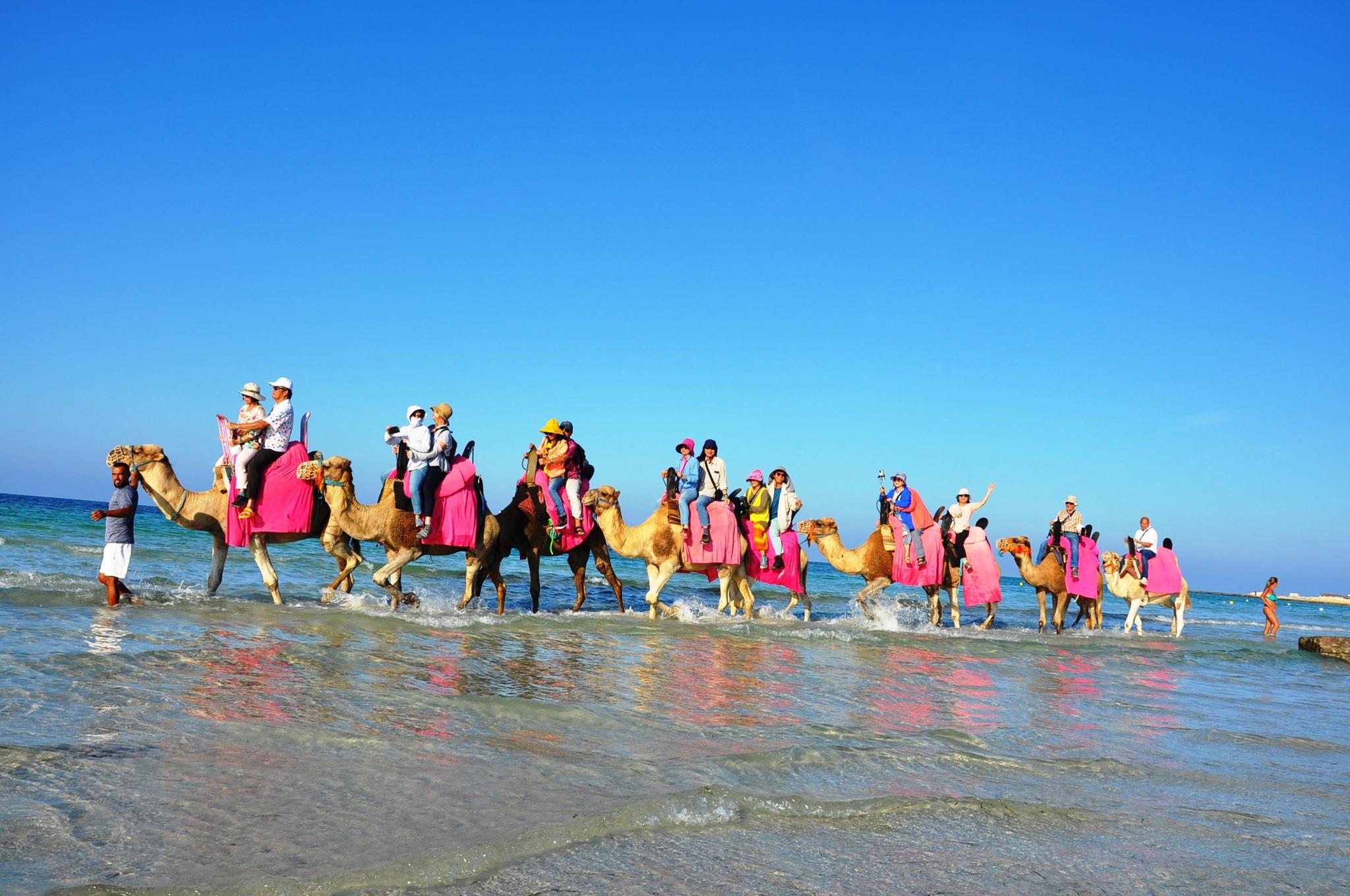 Djerba: Genieße Kamelreiten am Strand: 1 Stunde