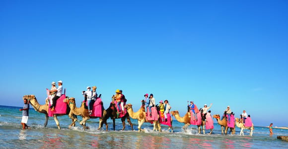Djerba: Enjoy a Camel Ride on the beach : 1h