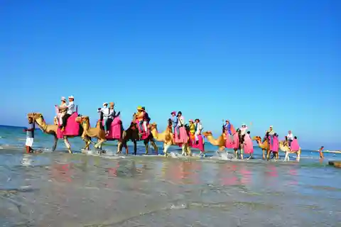 Djerba : Balade à dos de chameau à la plage.