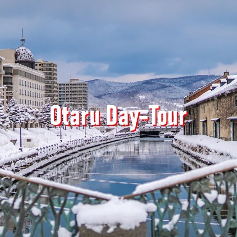 Visit From Sapporo 10-hour Customized Private Tour to Otaru in Sapporo