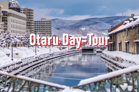 From Sapporo: 10-hour Customized Private Tour to Otaru