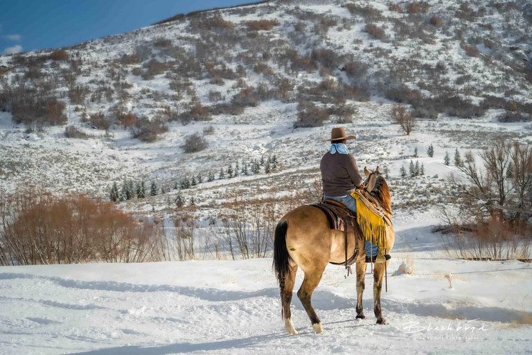4-Days Central Mongolia Winter Tour