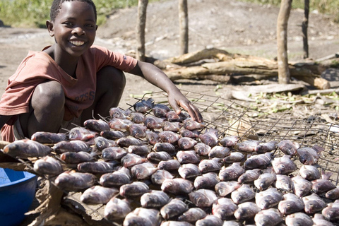 SAFARI ÉPICO EN UGANDA — 3px FAMILIA / 2 adultos - 1 niño