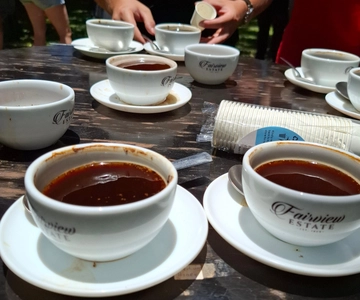 Tour giornaliero della tenuta del caffè Fairview