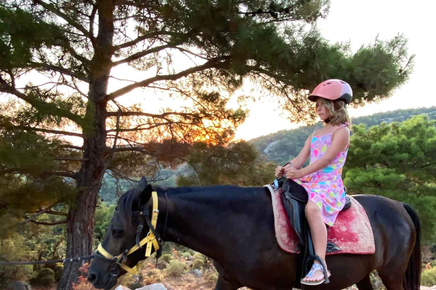 馬と行くサファリの冒険