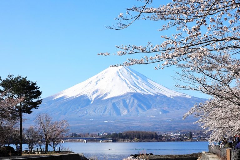 Monte Fuji y lago Kawaguchi: tour en autobús de un díaTour con punto de encuentro en Shinagawa