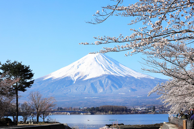 Monte Fuji y lago Kawaguchi: tour en autobús de un díaTour con punto de encuentro en Shinagawa