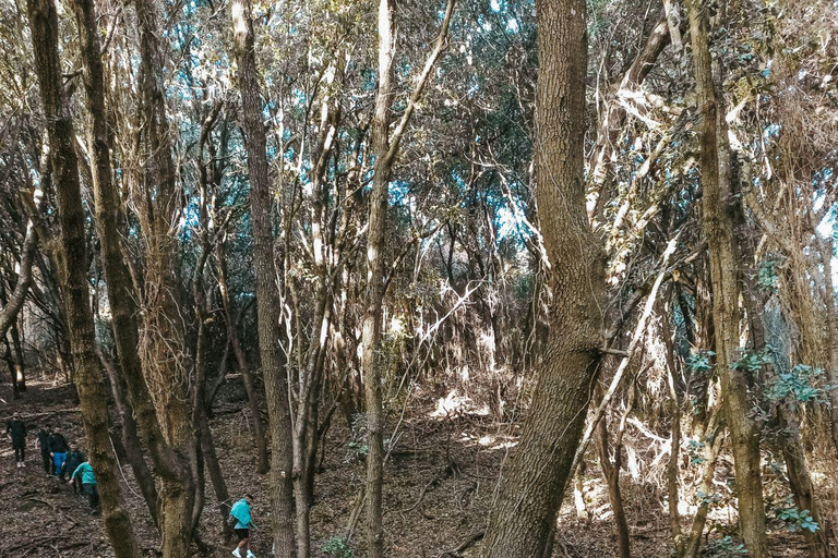 Corfu: Guided Hiking Tour of Arkoudilas Beach and Forests