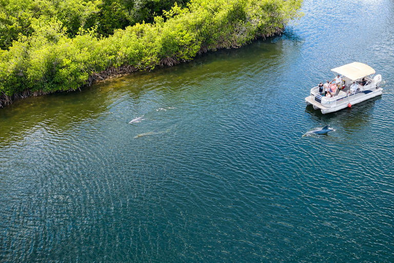 Cocoa Beach: Dolphin & Manatee Small Group Eco Boat Tour