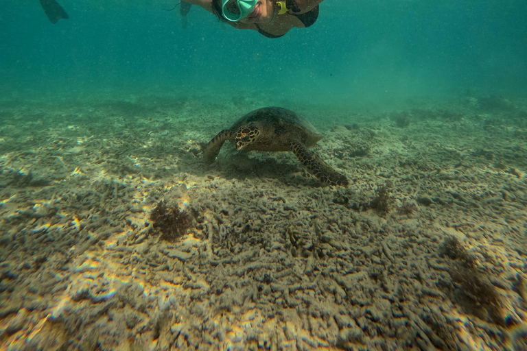 Snorkeling Trip Gili Trawangan Private Glass Bottom Boat