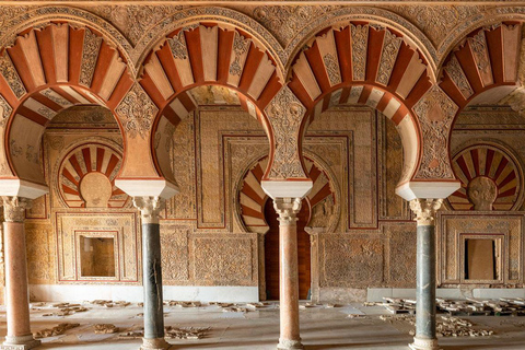 Cordoba: Guided Visit of Azahara Medina with an Official Tour Guide