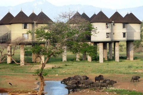 Desde Mombasa:safari de 5 días por Tsavo Este, Oeste y Saltlick Lodge