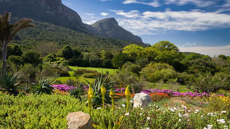 Table Mountain Kirstenbosch Gardens Constantia Wine Tour GetYourGuide