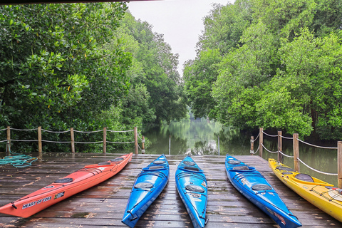 Kanoën in de mangrove in Jakarta