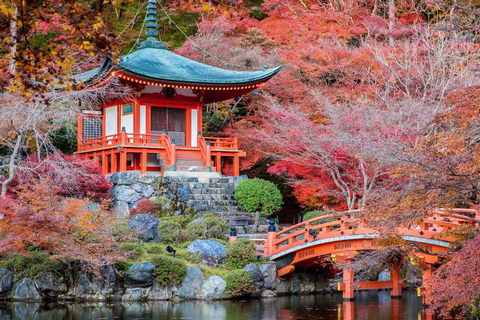 Kyoto : visite privée/véhicule de luxe avec guide et photographeKyoto : visite guidée avec guide anglophone