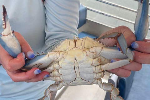 Charleston: Blue Crabbing Excursion with Crab Boil