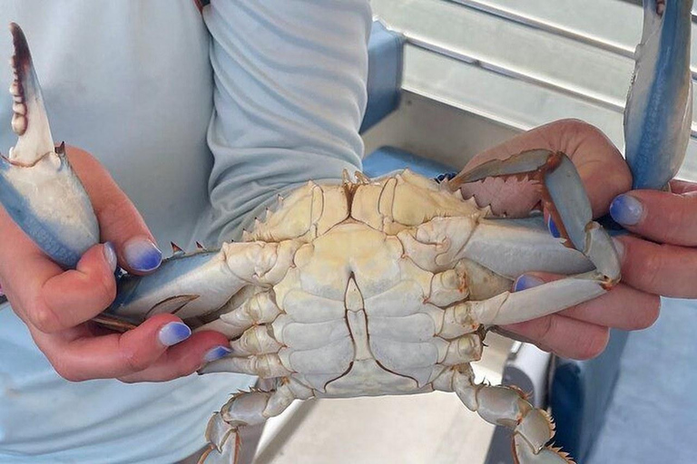 Charleston: Blue Crabbing Excursion with Crab Boil