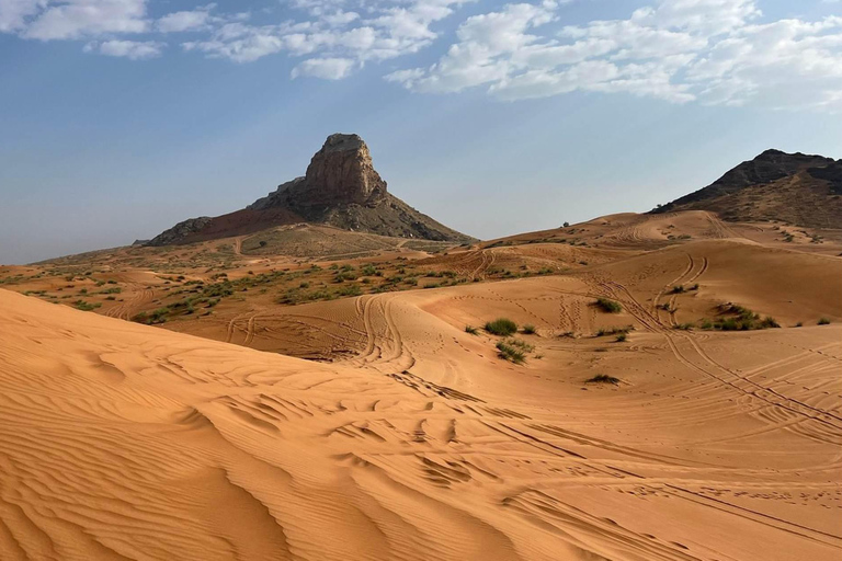 Från Dubai: Zerzura Buggy Experience + Middag i sanddynerna2-sitsig Desert Fox Buggy + Privat middag för alla gäster