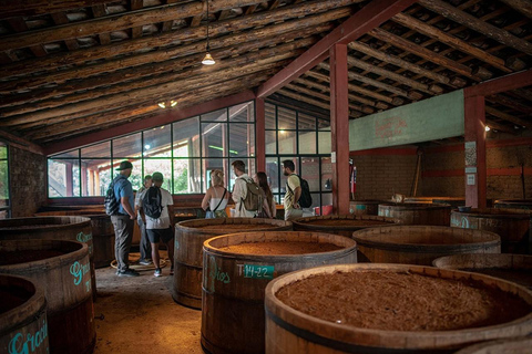 Oaxaca : Visite d&#039;une distillerie de mezcal avec dégustations