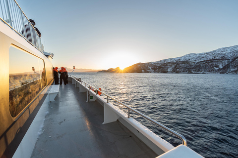 Von Tromsø aus: Walbeobachtungs-Safari auf dem Hochgeschwindigkeits-Katamaran