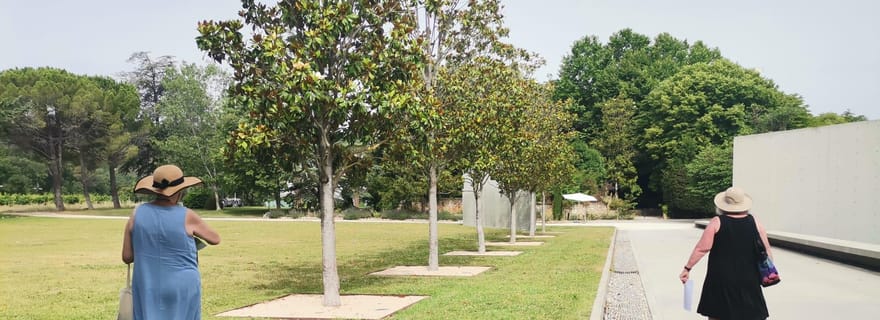 Aix en Provence : Découverte des vignobles de prestige et de l'art