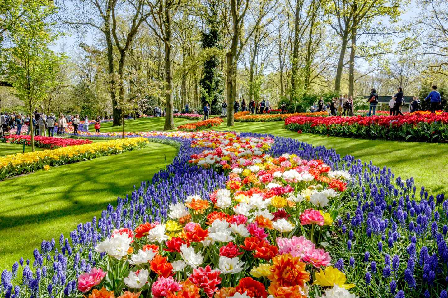 From Amsterdam: Keukenhof Entry with Shuttlebus Transfer