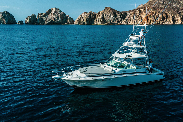 卡波圣卢卡斯：游艇之旅 + 鲸鱼观赏卡波圣卢卡斯：游览 paseo al Arco en Yate + Safari Whale