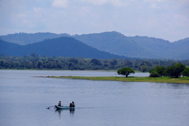 From Kandy: Explore Kandy Legacy With Local Host by Tuk Tuk