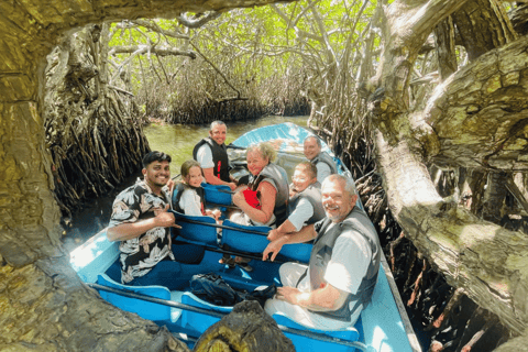 Sigiriya → Anywhere: Private Car Journey with Flexible Stops Private Van with Driver – Up to 100 km (Island-wide)