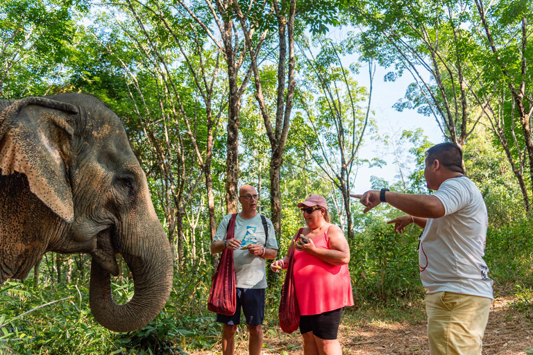 Khao Lak: Ethical Elephant, Zipline & ATV Premium Combo