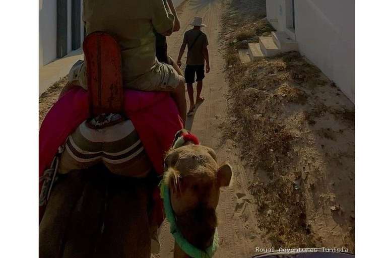Sousse: Guided Countryside & Olive Grove Camel Ride Countryside Camel Ride with Sousse Hotel Transfer