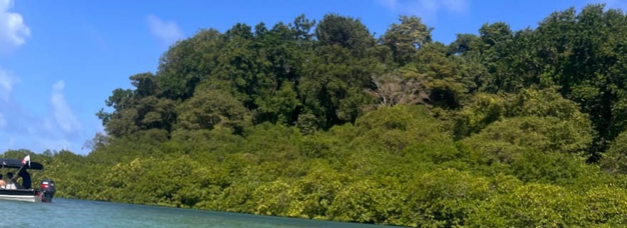 Visite 4 en 1 : Portobelo, Cristo Negro, Venas Azules et Playa Blanca