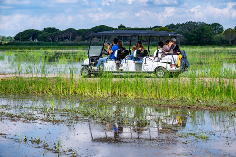 Camargue: Electric Safari with Guide in a private reserve