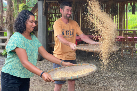 Luang Prabang: Rice Farm, Fishing & Picnic Experience