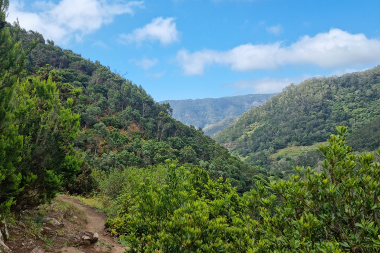 Madeira: Porto da Cruz naar Machico Wandeltocht met Transfer