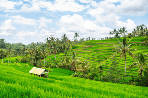 Bali : UNESCO WerelderfgoedTour in kleine groep