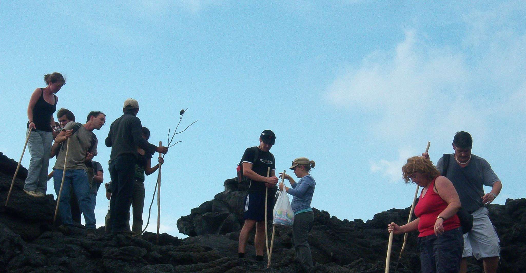 From Antigua, Pacaya Volcano Trek - Housity