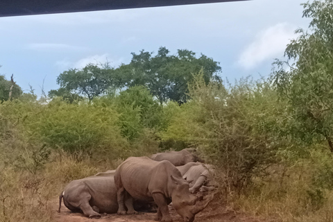 Eswatini: Rhino Walk in Hlane Royal National Park