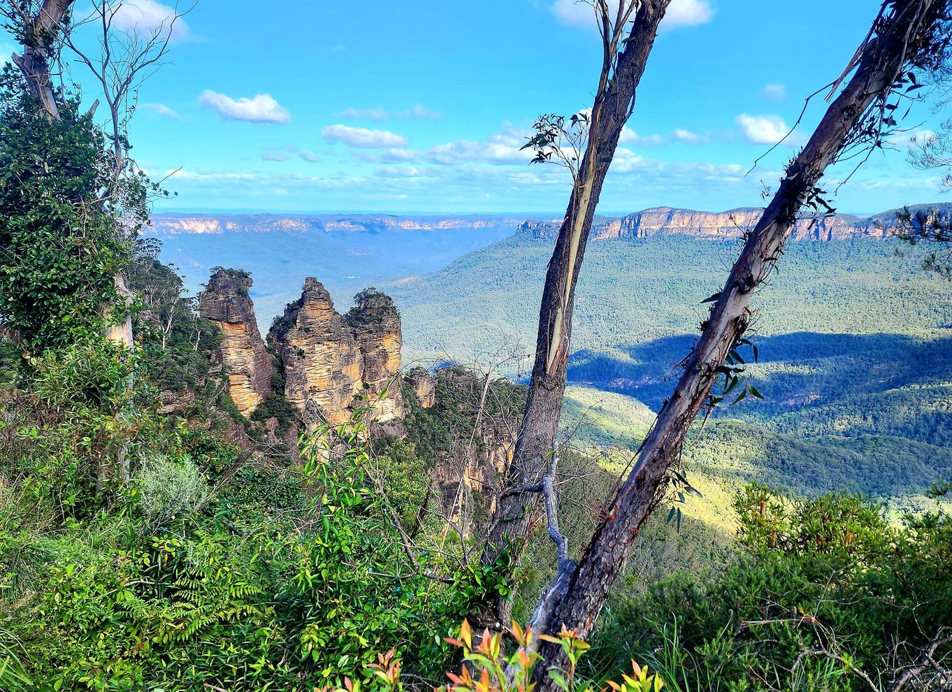 Fra Sydney: Blue Mountains-tur med vandfaldsvandring og frokost