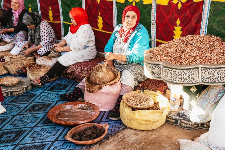 From Marrakech: High Atlas Mountains and 5 Valleys Day Trip Private Tour