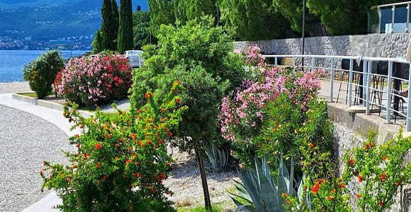 Rijeka Kroatien: Entdecke mit uns das wunderschöne Meer von Kroatien! Rijeka Kroatien: Entdecke mit uns das wunderschöne Meer von Kroatien!