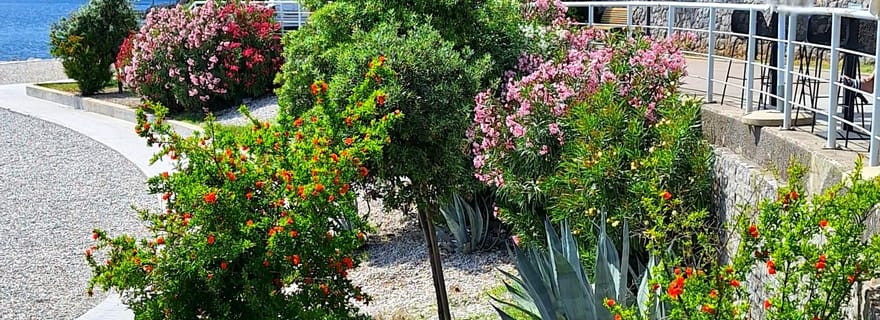 Rijeka Croatie : Découvrez avec nous la mer merveilleuse de la Croatie !